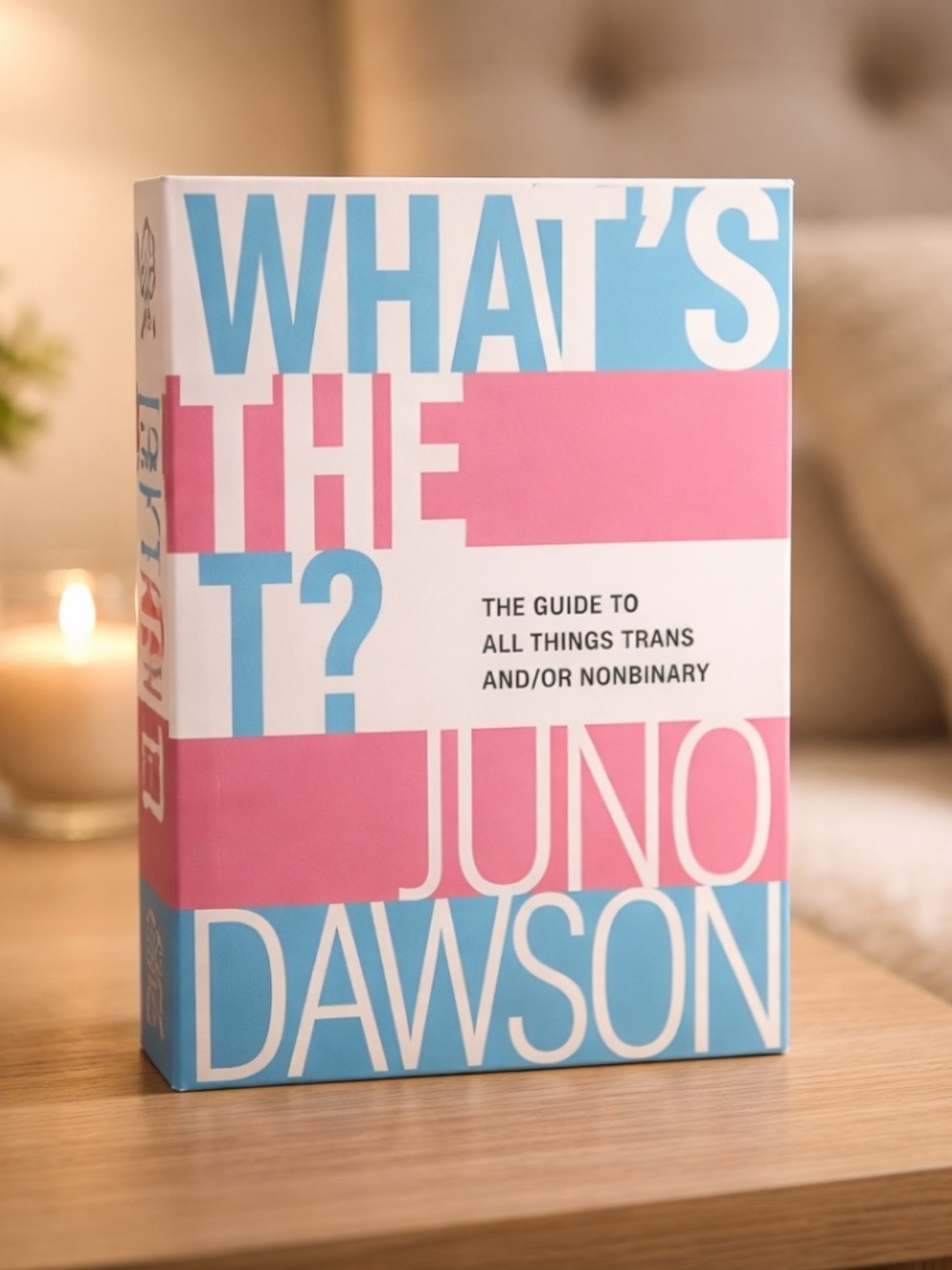 The Guide to All Things Trans and/or Nonbinary by Juno Dawson 🏳️‍⚧️🏳️‍🌈